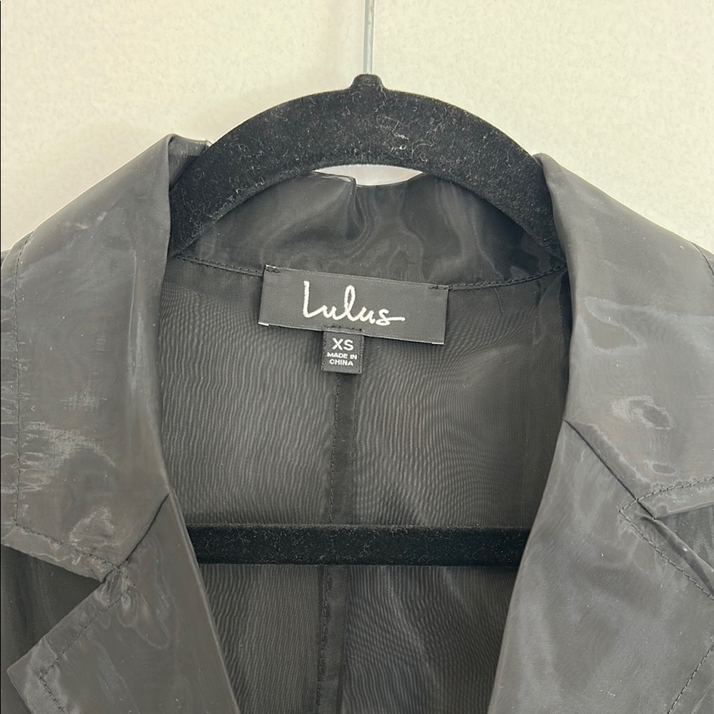 Black Sheer Trench Coat - Picture 4 of 6
